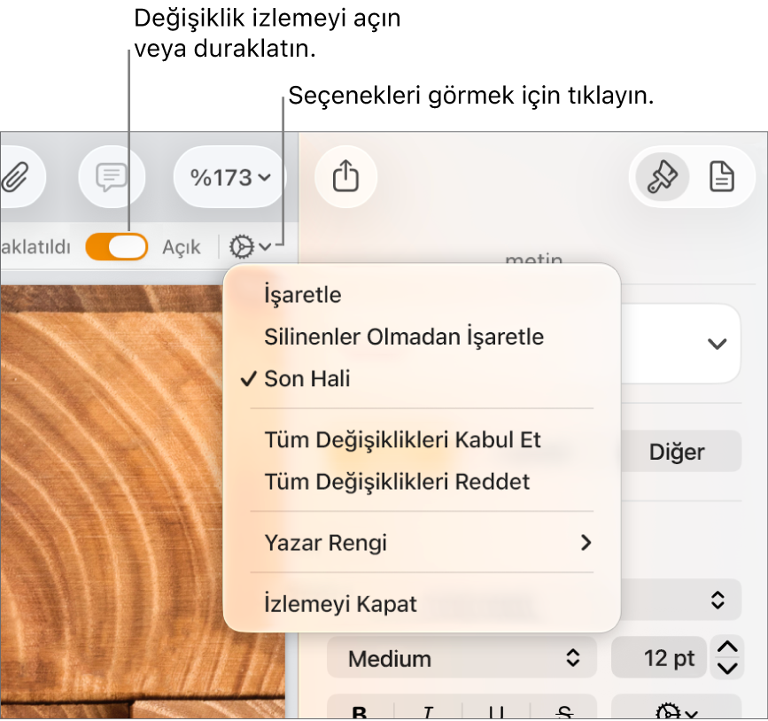 Alt kısımda İzlemeyi Kapat’ı ve İzleme Açık ve Durduruldu düğmesi belirtimlerini gösteren izleme seçenekleri menüsü.