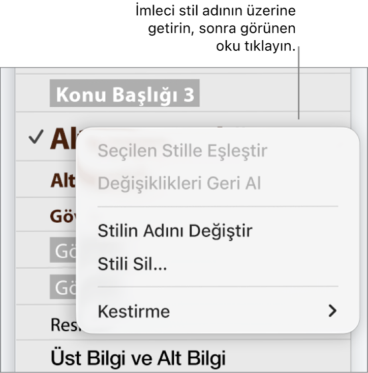 Kestirme menüsünün açık olduğu Paragraf Stilleri menüsü.