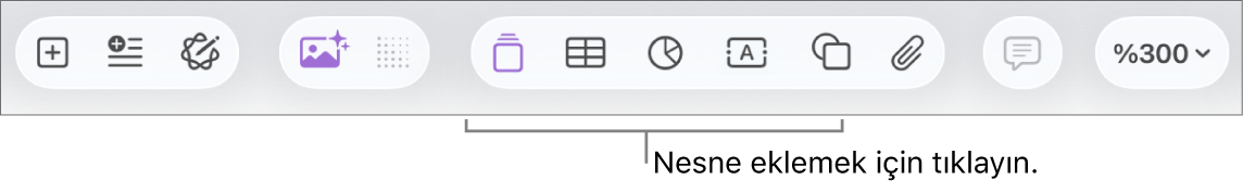 Ekle, Tablo, Grafik, Metin, Şekil ve Ortamlar düğmeleriyle Pages araç çubuğu.