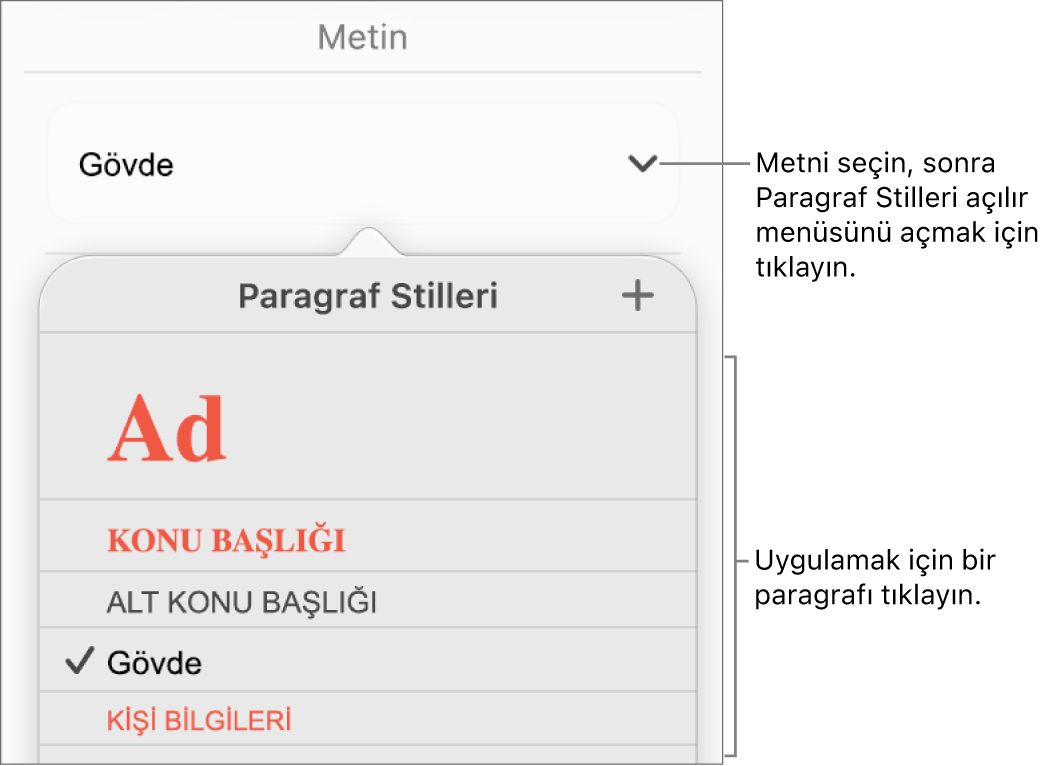 Paragraf Stilleri menüsü.