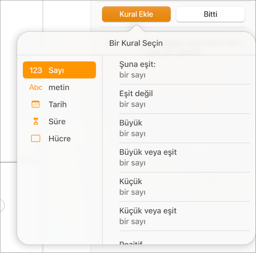 Kuralları vurgulayan koşulu hücre yaratma düğmeleri.