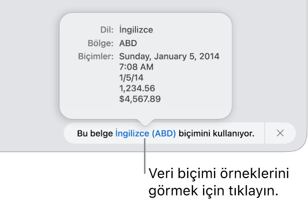 O dil ve bölgede kullanılan biçimlendirme örneklerini gösteren, farklı dil ve bölge ayarı bildirimi.