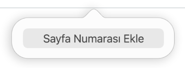 Üst bilginin alt tarafında Sayfa Numarası Ekle düğmesi.