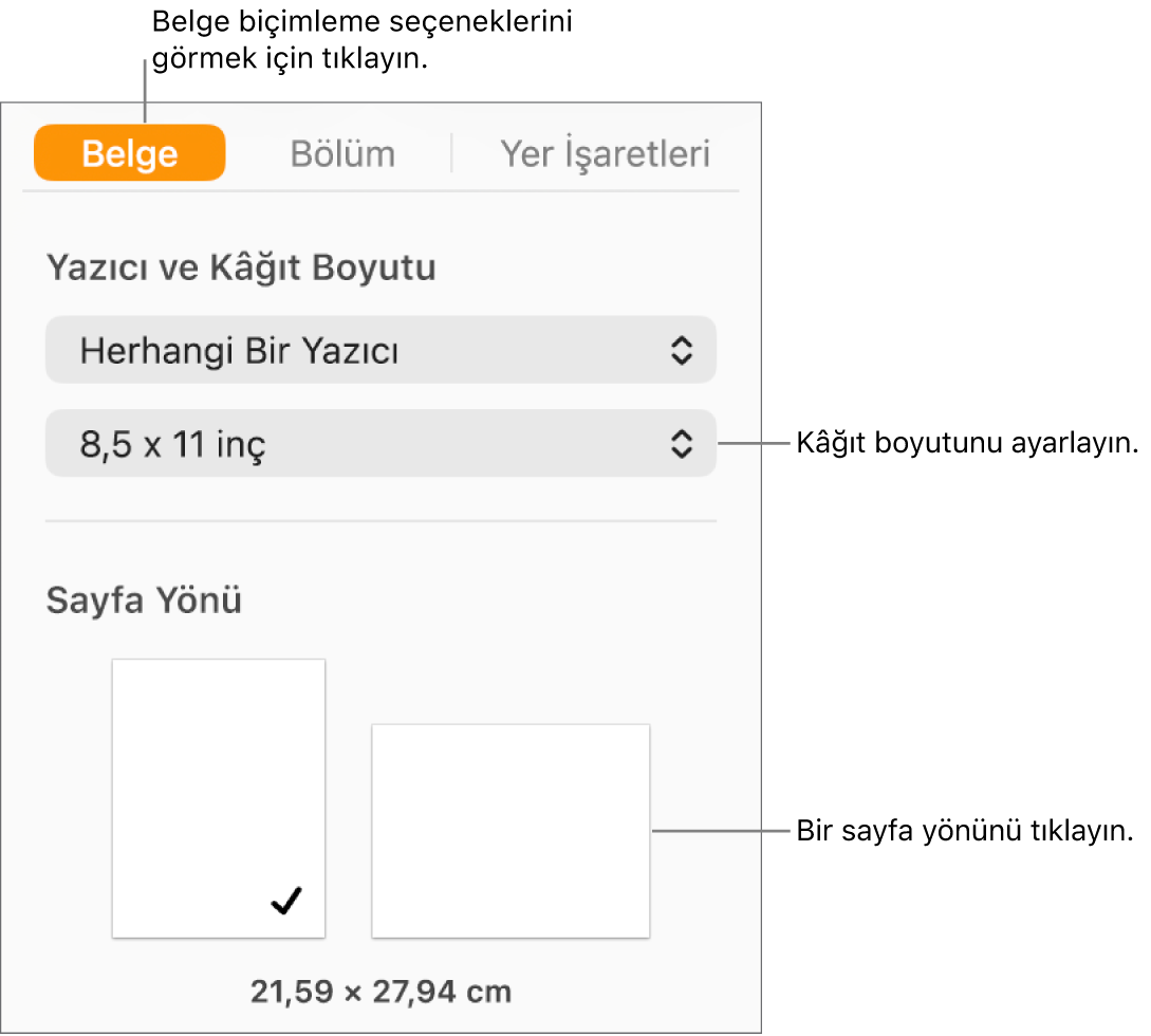 Belge kenar çubuğu, kenar çubuğunun en üstünde Belge sekmesi seçili. Kenar çubuğunda kağıt boyutunu ve düşey ve yatak sayfa yönü düğmelerini ayarlamak için bir açılır menü bulunur.