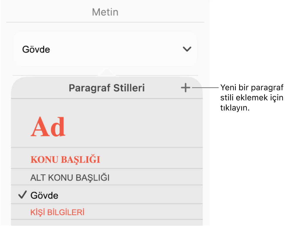 Yeni Stil düğmesi belirtimini içeren Paragraf Stilleri menüsü.