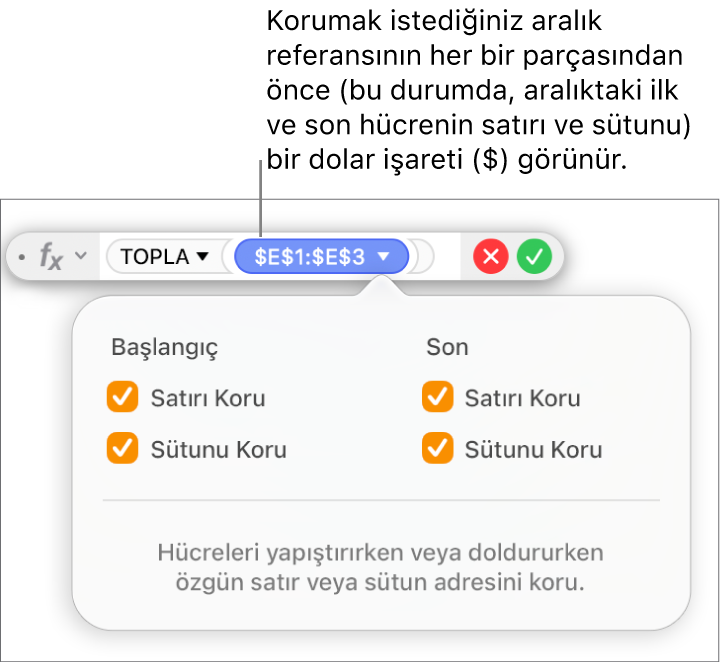 Belirli bir aralık için seçilen Satırı Koru ve Sütunu Koru seçeneklerini gösteren Formül Düzenleyici.