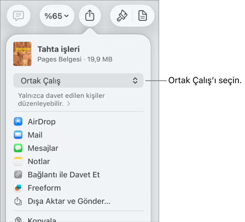 En üstte Ortak Çalış seçili olan Paylaş menüsü ve altında erişim ve izin ayarları.