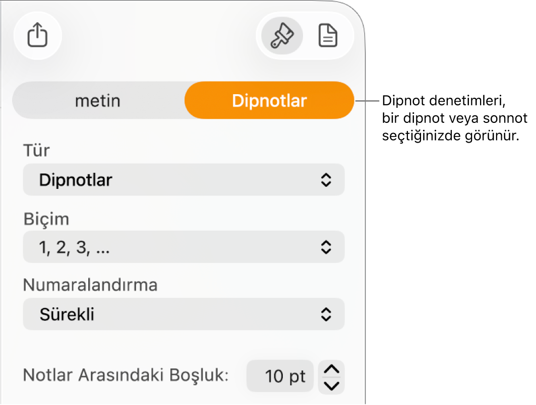 Tip, Biçim, Numaralandırma ve notlar arasındaki aralık için açılır menüleri gösteren Dipnotlar bölmesi.