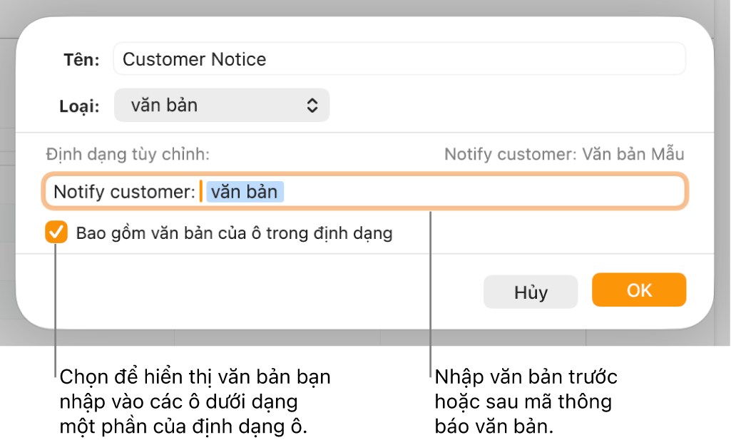 Cửa sổ định dạng ô tùy chỉnh với các điều khiển để chọn định dạng văn bản tùy chỉnh.