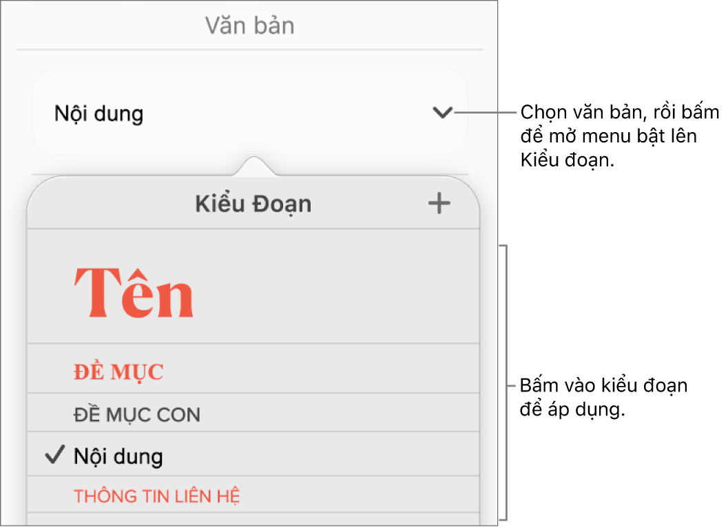 Menu Kiểu đoạn.