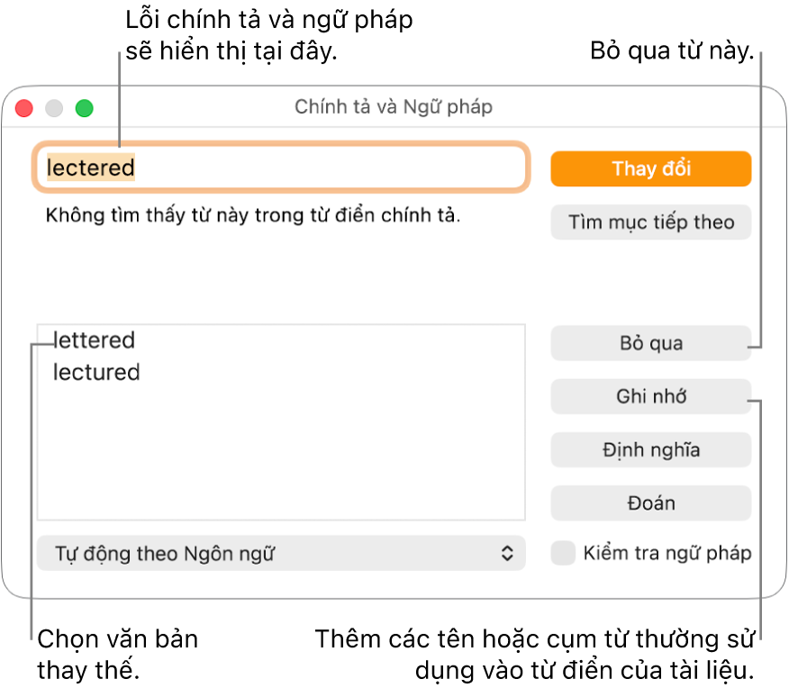 Cửa sổ Chính tả và ngữ pháp.