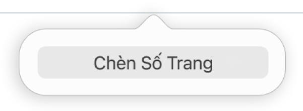 Nút Chèn số trang bên dưới đầu trang.