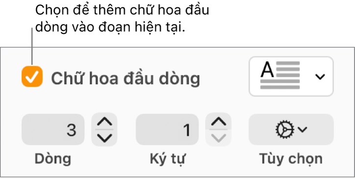 Hộp kiểm Chữ hoa đầu dòng được chọn và menu bật lên xuất hiện ở bên phải; các điều khiển để đặt chiều cao đường, số lượng ký tự và các tùy chọn khác xuất hiện bên dưới.