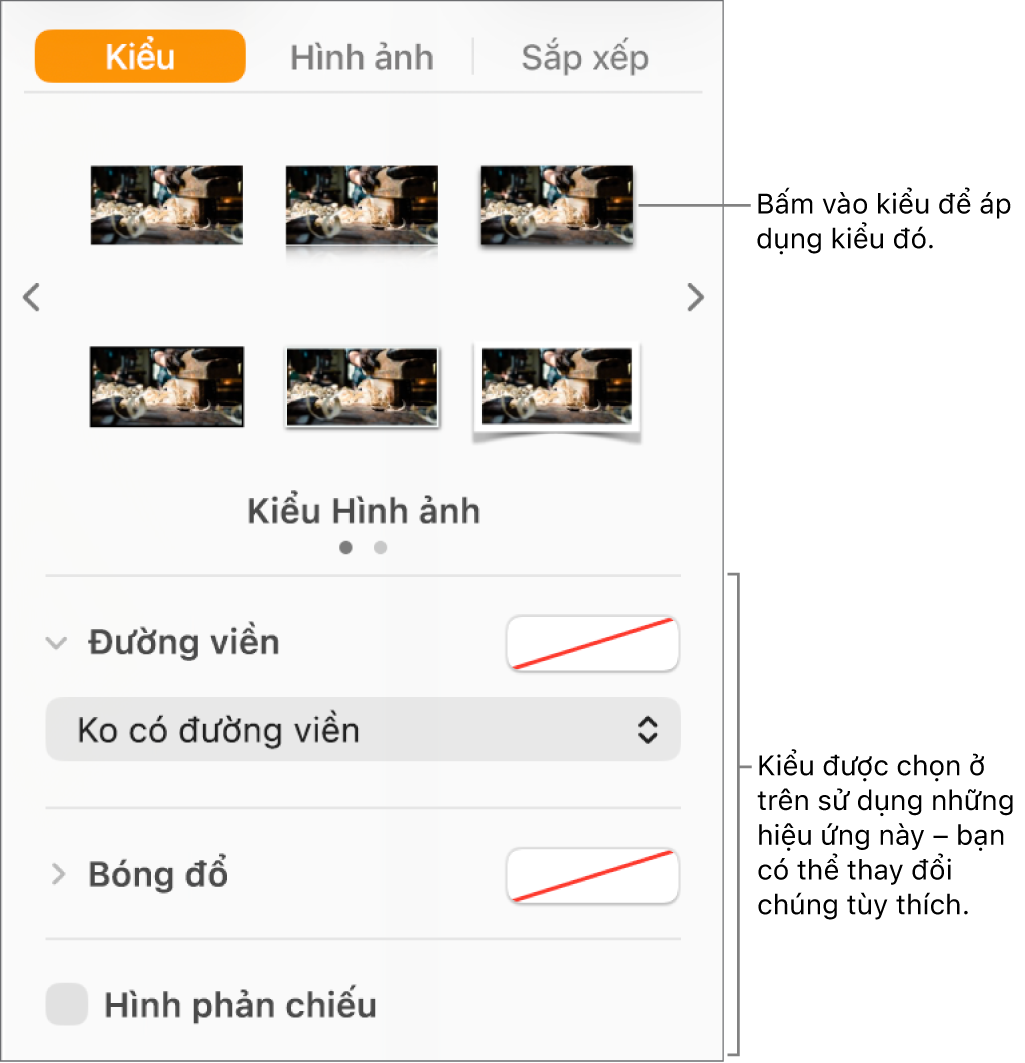Tab Kiểu của thanh bên Định dạng hiển thị các tùy chọn kiểu đối tượng.