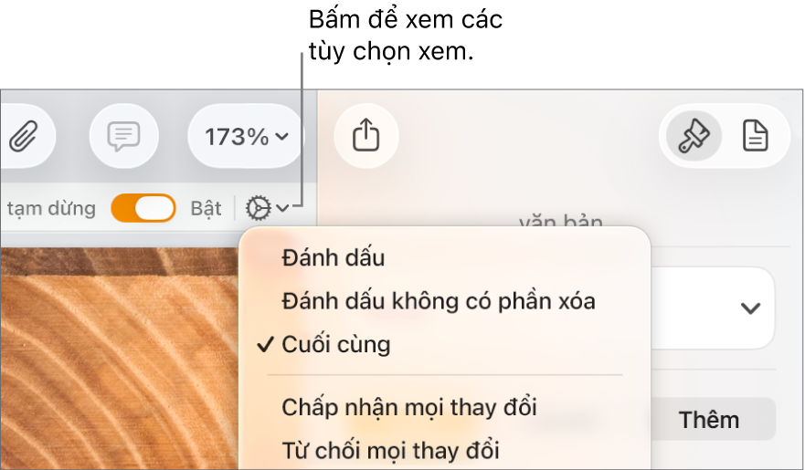 Menu tùy chọn kiểm tra đang hiển thị Đánh dấu, Đánh dấu không có phần xóa và Cuối.