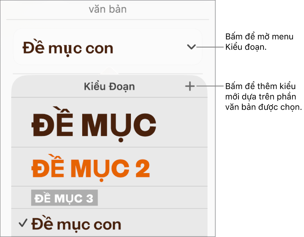 Menu Kiểu đoạn, hiển thị các điều khiển để thêm hoặc thay đổi kiểu.