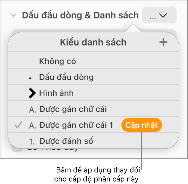 Menu bật lên Kiểu danh sách có nút Cập nhật bên cạnh tên của kiểu mới.