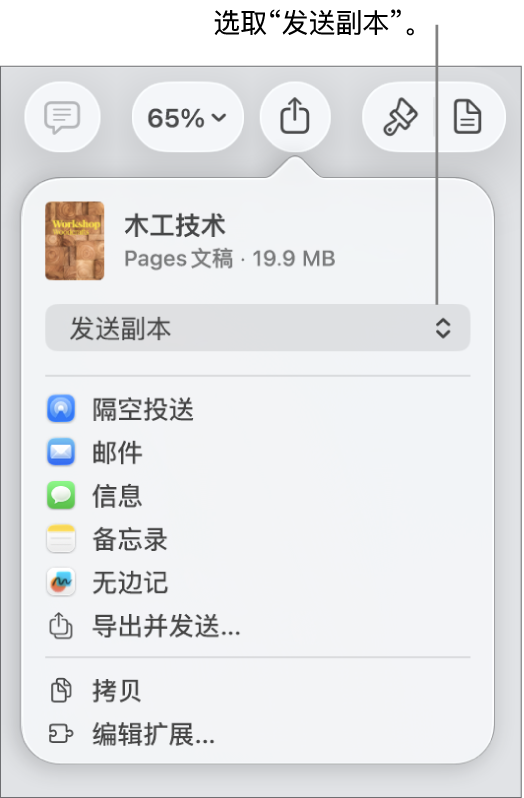 顶部已选中“发送副本”的“共享”菜单。