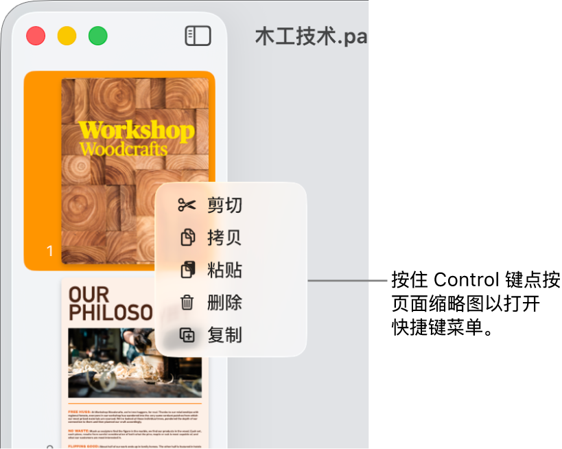 “页面缩略图”视图,其中一个缩略图被选中,快捷键菜单打开。