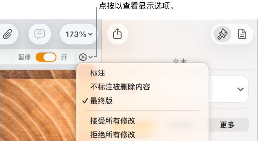 显示“标注”、“不标注被删除内容”和“最终版”的审阅选项菜单。