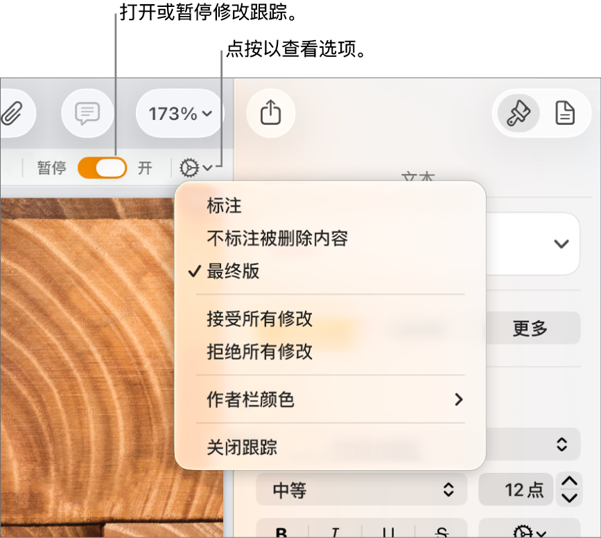 在底部显示“关闭跟踪”和显示“跟踪已打开”和“暂停”按钮矩形标注框的“跟踪”选项菜单。