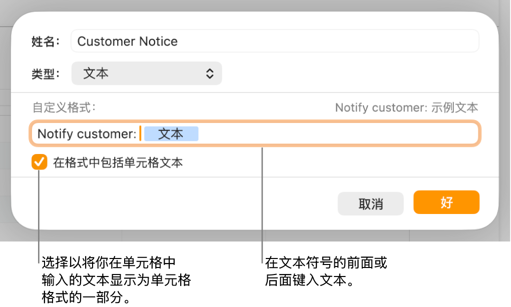 自定义单元格式窗口，带有用于选取自定义文本格式的控制。