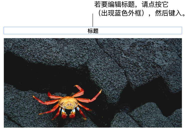 占位符标题“标题”显示在照片下方;标题栏周围的蓝色外框表示它已被选中。