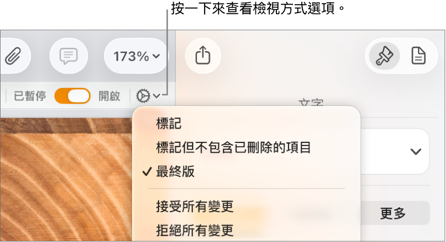 複查選項選單顯示「標記」、「標記但不包含已刪除的項目」和「最終版」。