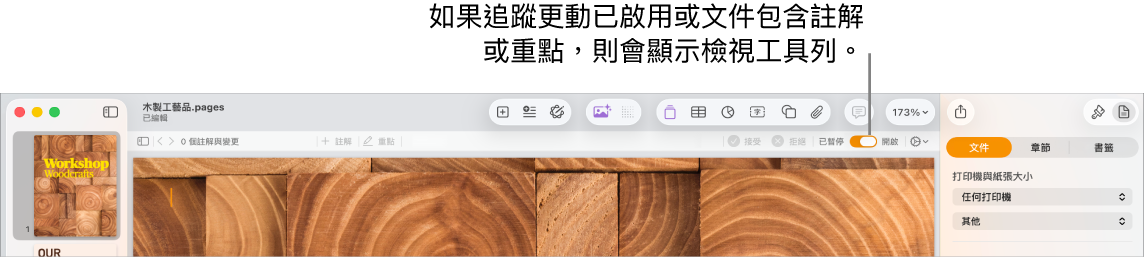 Pages 工具列開啟追蹤變更,Pages 工具列下方是複查工具列。