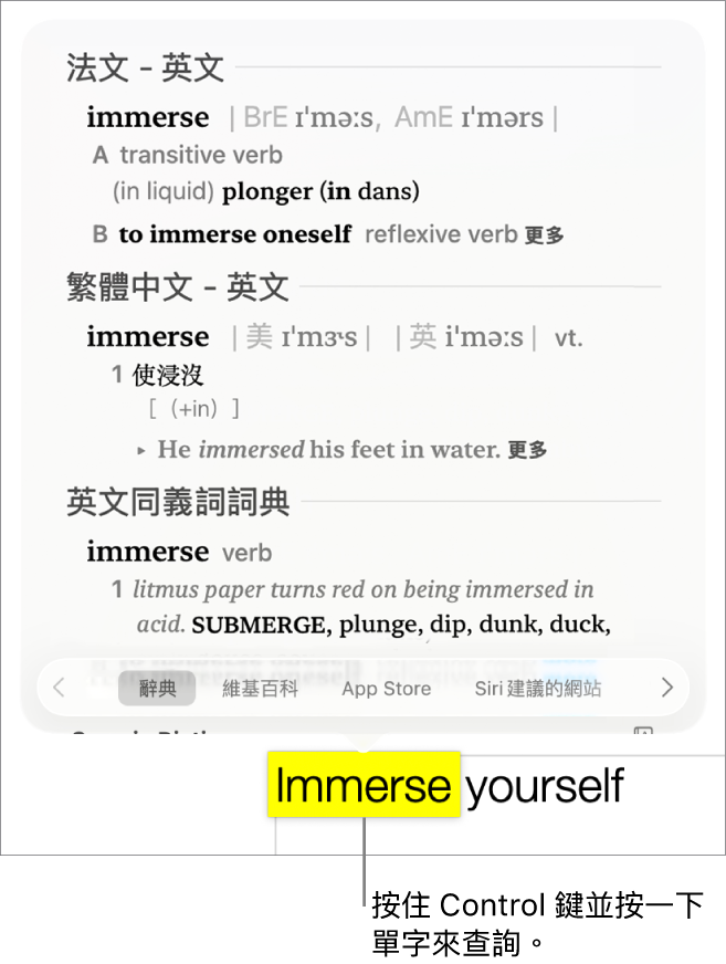 段落包括重點標示的單字，一個視窗顯示其定義和同義詞詞條。視窗底部的按鈕提供了前往字典、維基百科和 Siri 建議的網站之連結。