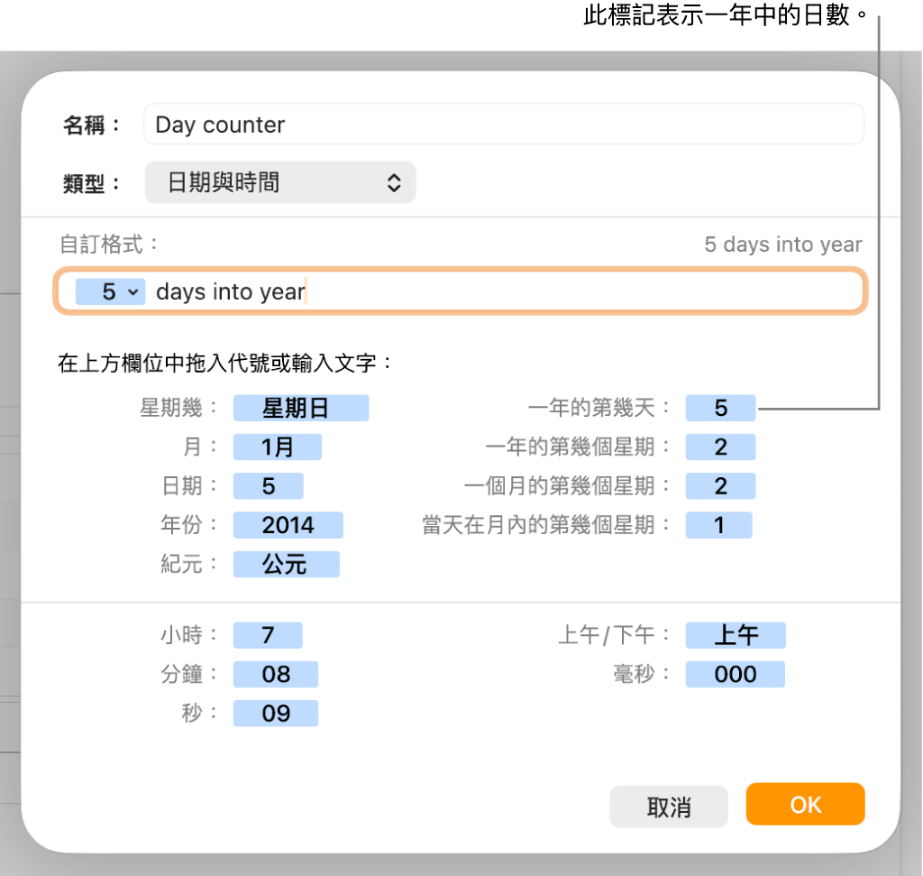 帶有控制項目的自訂輸入格格式視窗,用來選擇自訂日期與時間格式。