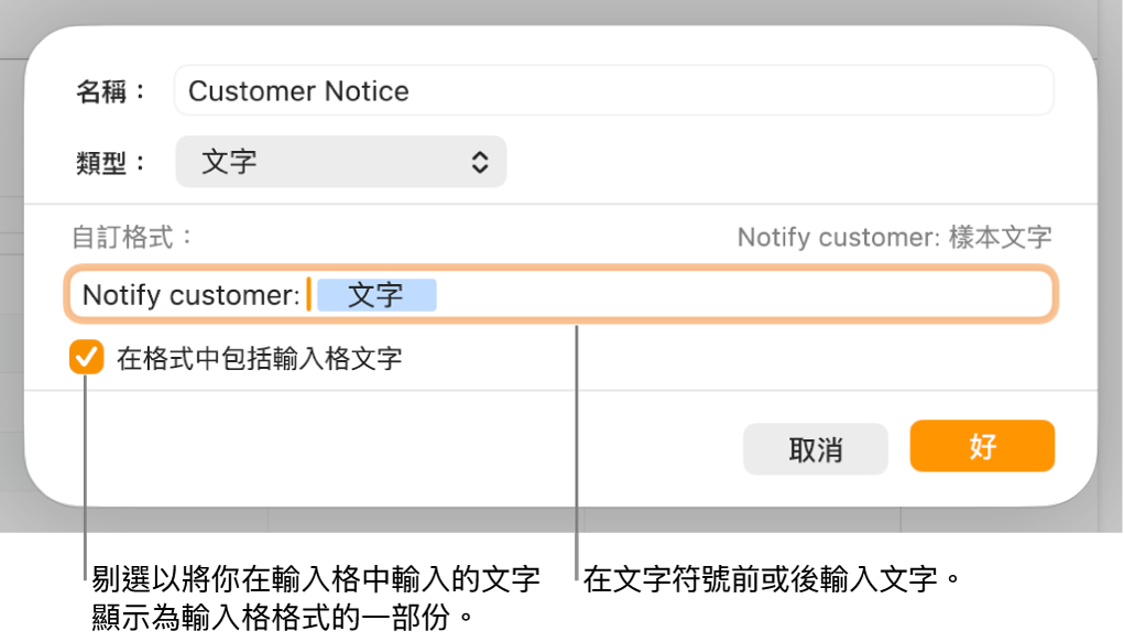 帶有控制項目的自訂輸入格格式視窗,用來選擇自訂文字格式。