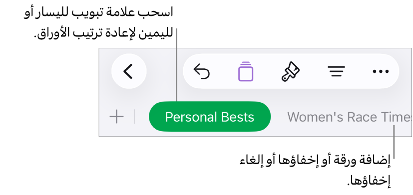 شريط علامات التبويب لإضافة ورقة جديدة والتنقل وإعادة التنظيم وإعادة ترتيب الأوراق.