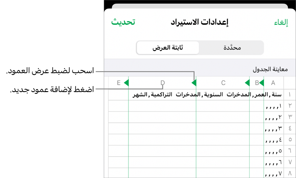 إعدادات الاستيراد لملف نصي ثابت العرض.