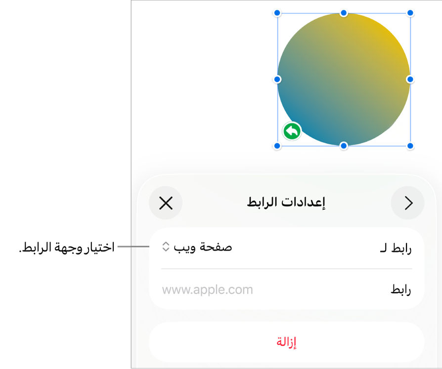 عناصر التحكم في إعدادات الرابط تعرض خيار صفحة الويب محددًا ويظهر زر إزالة في الأسفل.