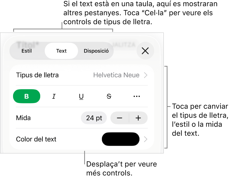 Controls de text al menú Format per definir els estils de paràgraf i de caràcter, el tipus de lletra, la mida i el color.