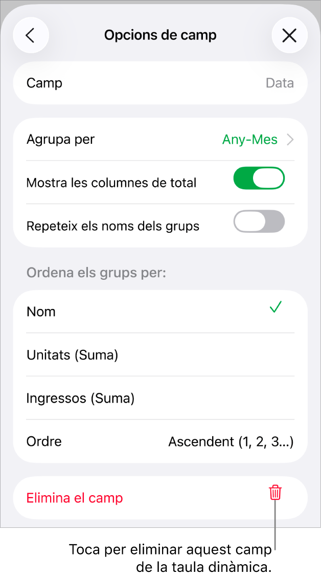 El menú “Opcions de camp”, que mostra els controls per agrupar i ordenar dades, a més de l’opció per eliminar un camp.
