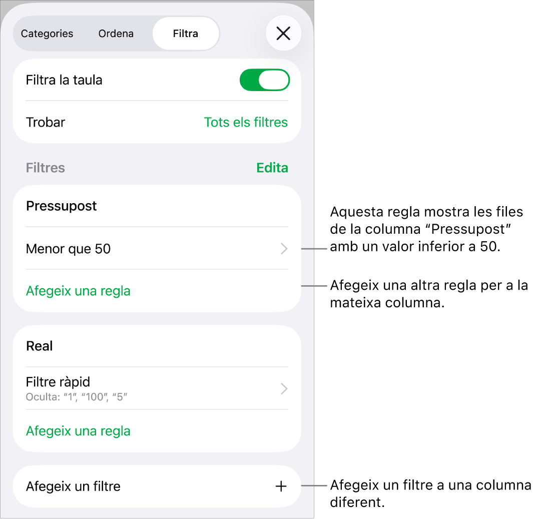 Controls per afegir noves regles de filtre o editar les regles existents.