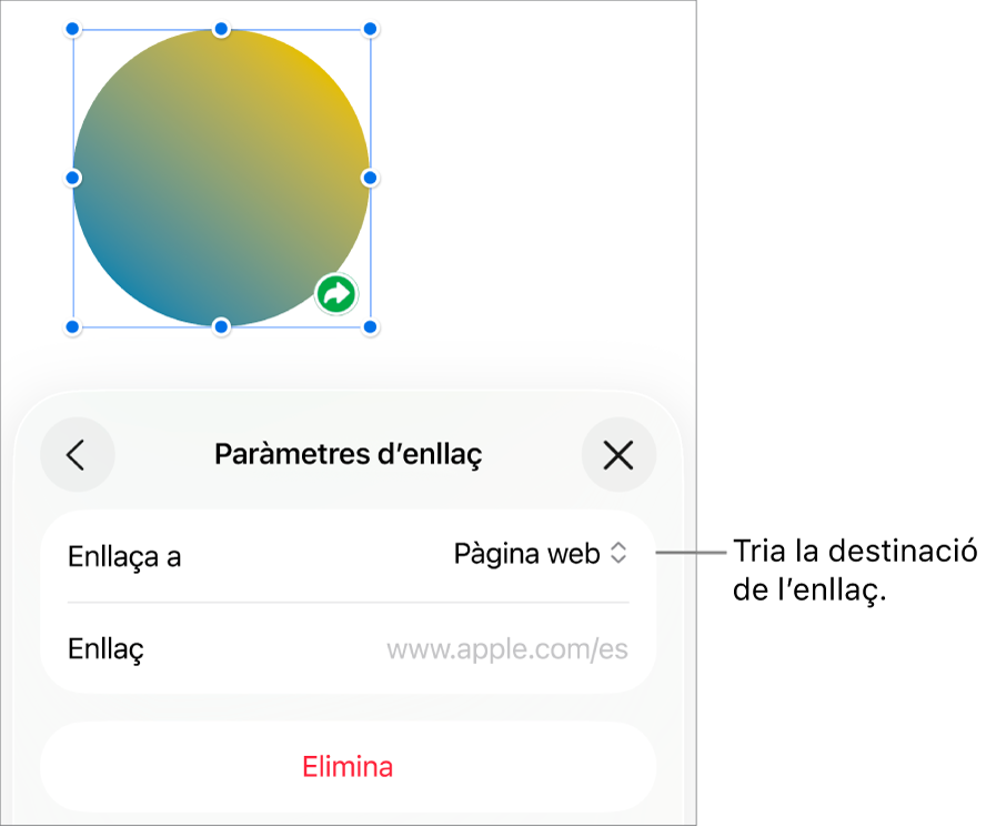 Controls “Paràmetres d’enllaç” amb l’opció “Pàgina web” seleccionada i el botó “Elimina” situat a la part inferior.