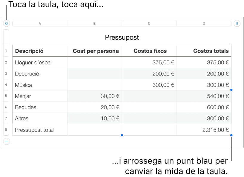 Una taula seleccionada, amb punt blaus per canviar-ne la mida.