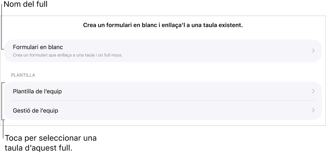 Una llista de taules que són al mateix full de càlcul, amb l’opció per crear un formulari en blanc a la part superior.