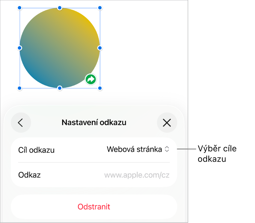 Ovládací prvky Nastavení odkazu s vybranou volbou Webová stránka a tlačítkem Odstranit v dolní části