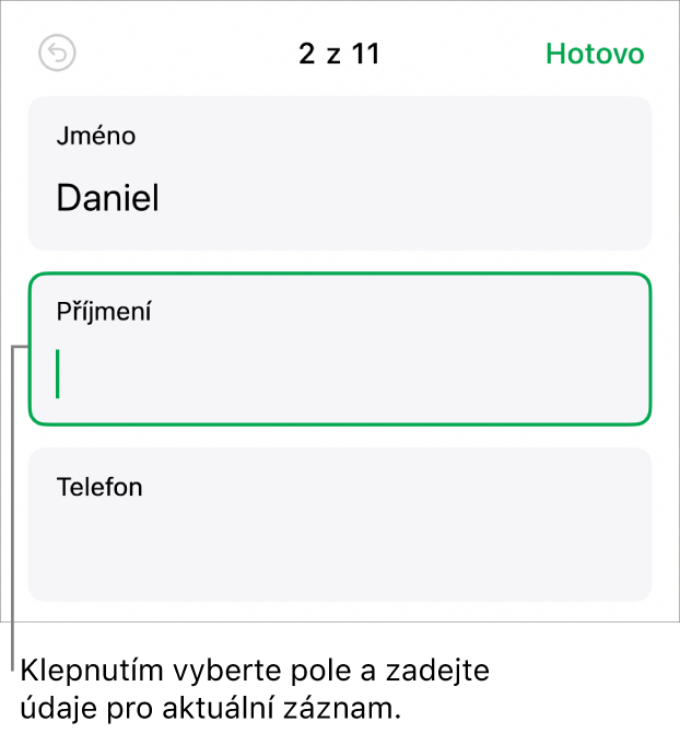 Záznam ve formuláři se zobrazeným aktivním polem, v němž se nachází kurzor