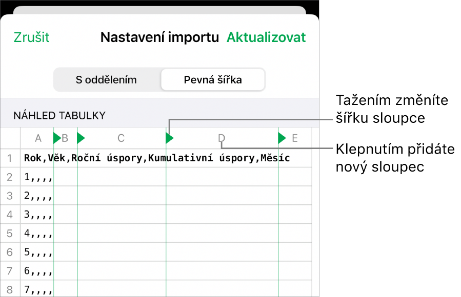 Nastavení importu pro text s pevnou šířkou.