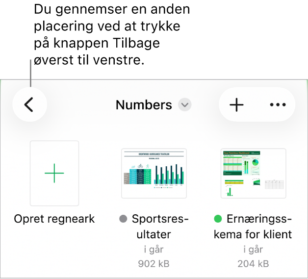 Dokumentadministrationen med Gennemse valgt, et link til placeringer i øverste venstre hjørne og derunder et søgefelt. I øverste højre hjørne findes knappen Tilføj et regneark og knappen Mere. Nederst på skærmen vises knappen Seneste og knappen Gennemse.
