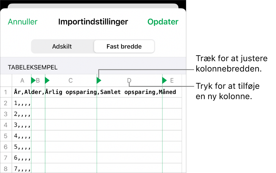 Importindstillingerne til et tekstarkiv med fast bredde.