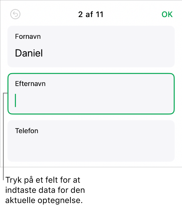 En optegnelse i en formular, der viser et aktivt felt med et indsætningsmærke.