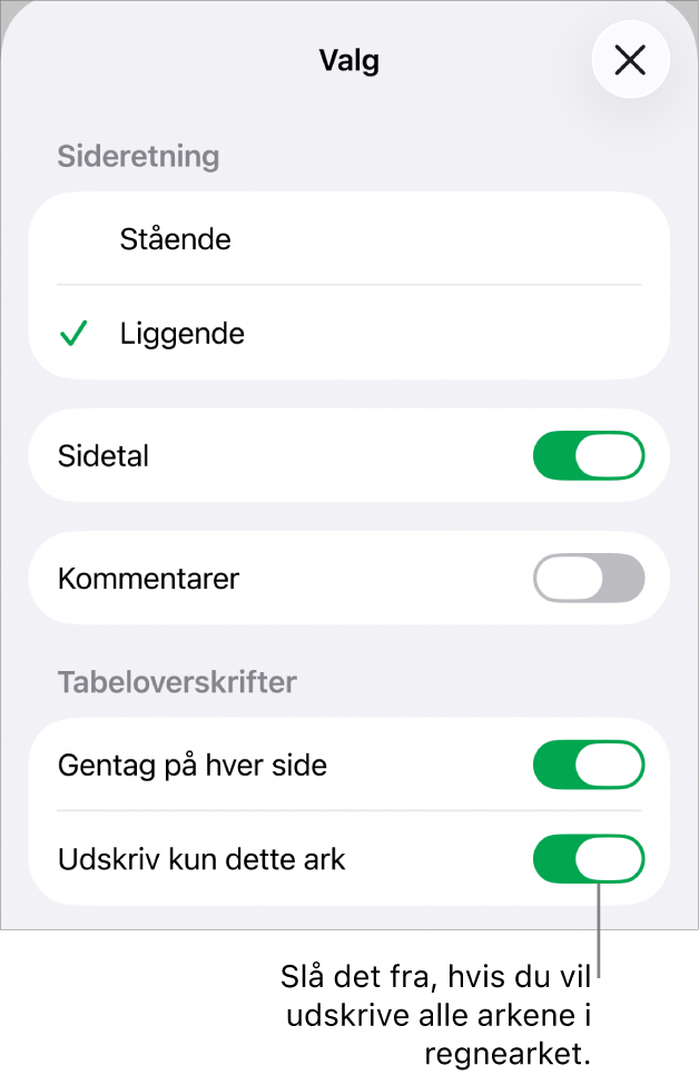 Udskriftsindstillinger til valg af sideretning, visning af sidetal og overskrifter, valg af papirstørrelse og af, hvilke sider der skal udskrives.