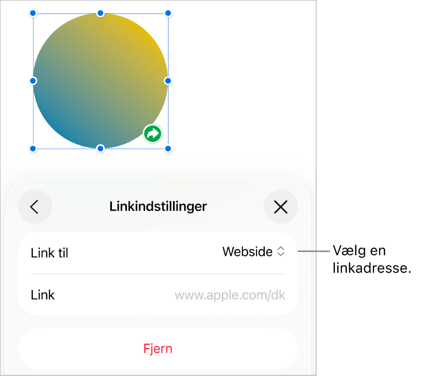 Værktøjet til Linkindstillinger med websiden valgt og med knappen Fjern i bunden.