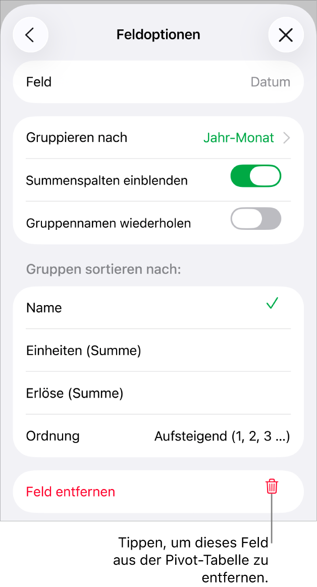 Das Menü „Feldoptionen“ mit Steuerelementen zum Gruppieren und Sortieren von Daten sowie einer Option zum Entfernen eines Feldes.